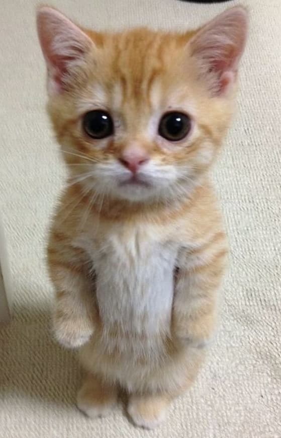 The maker behind Loopyweaves